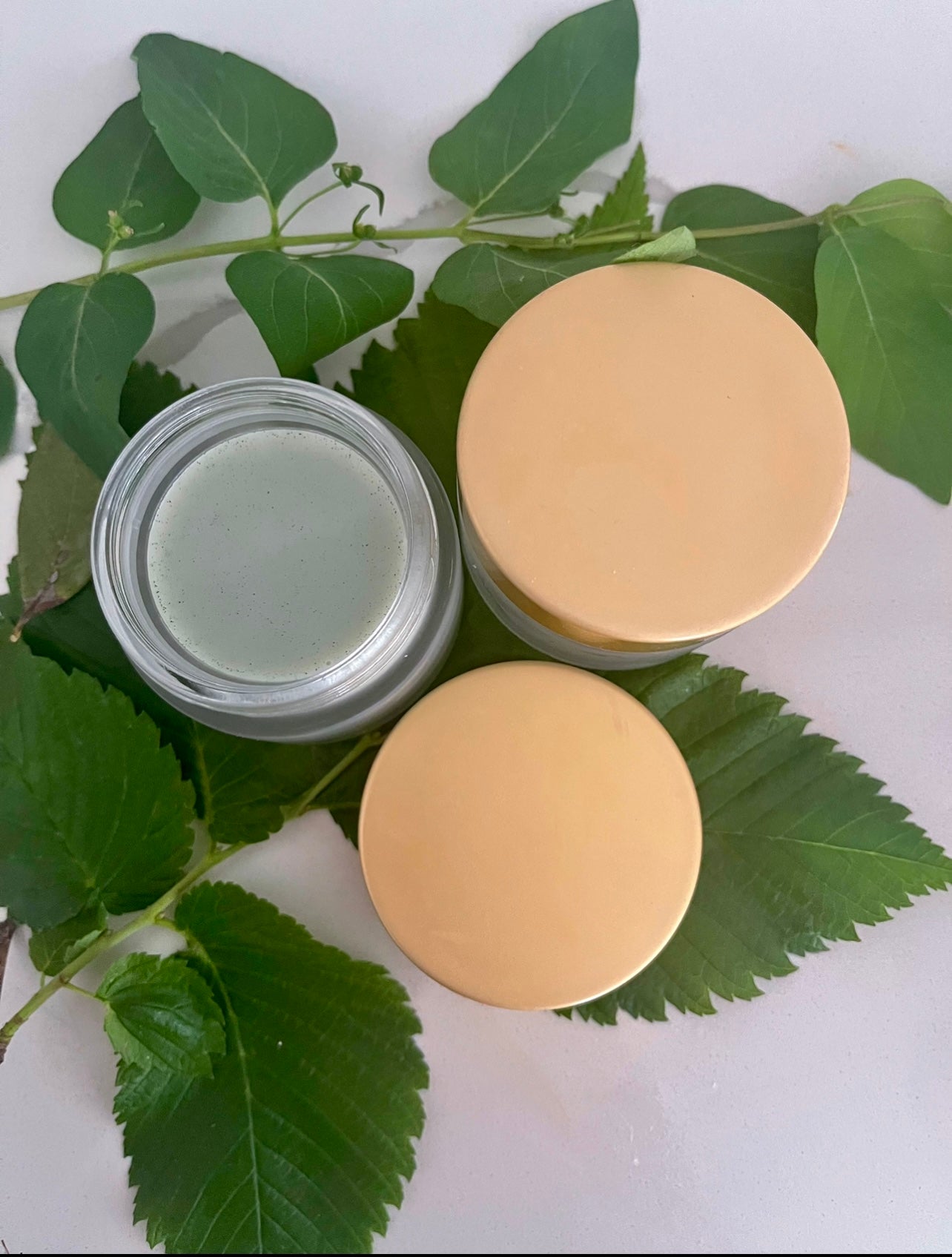 Green Forest Bayberry Facebalm